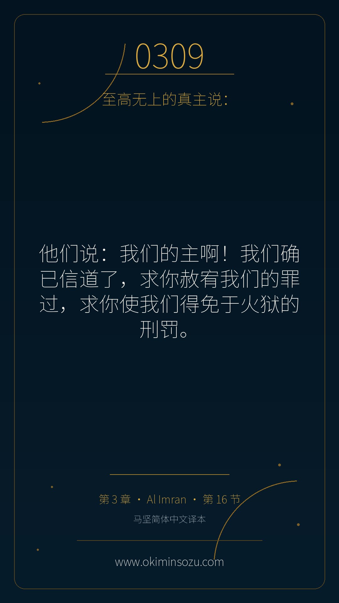 0309 S003 A016