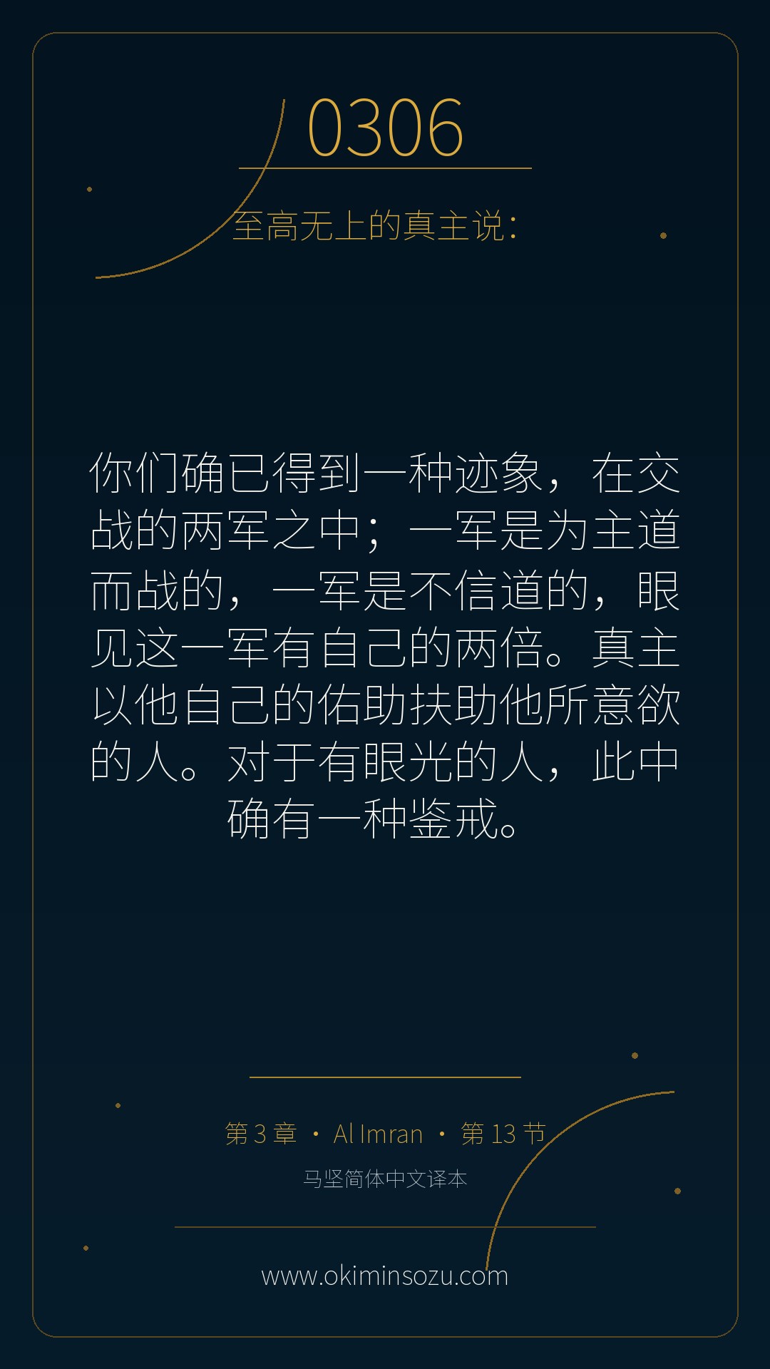 0306 S003 A013