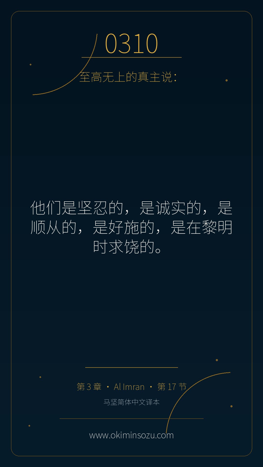 0310 S003 A017