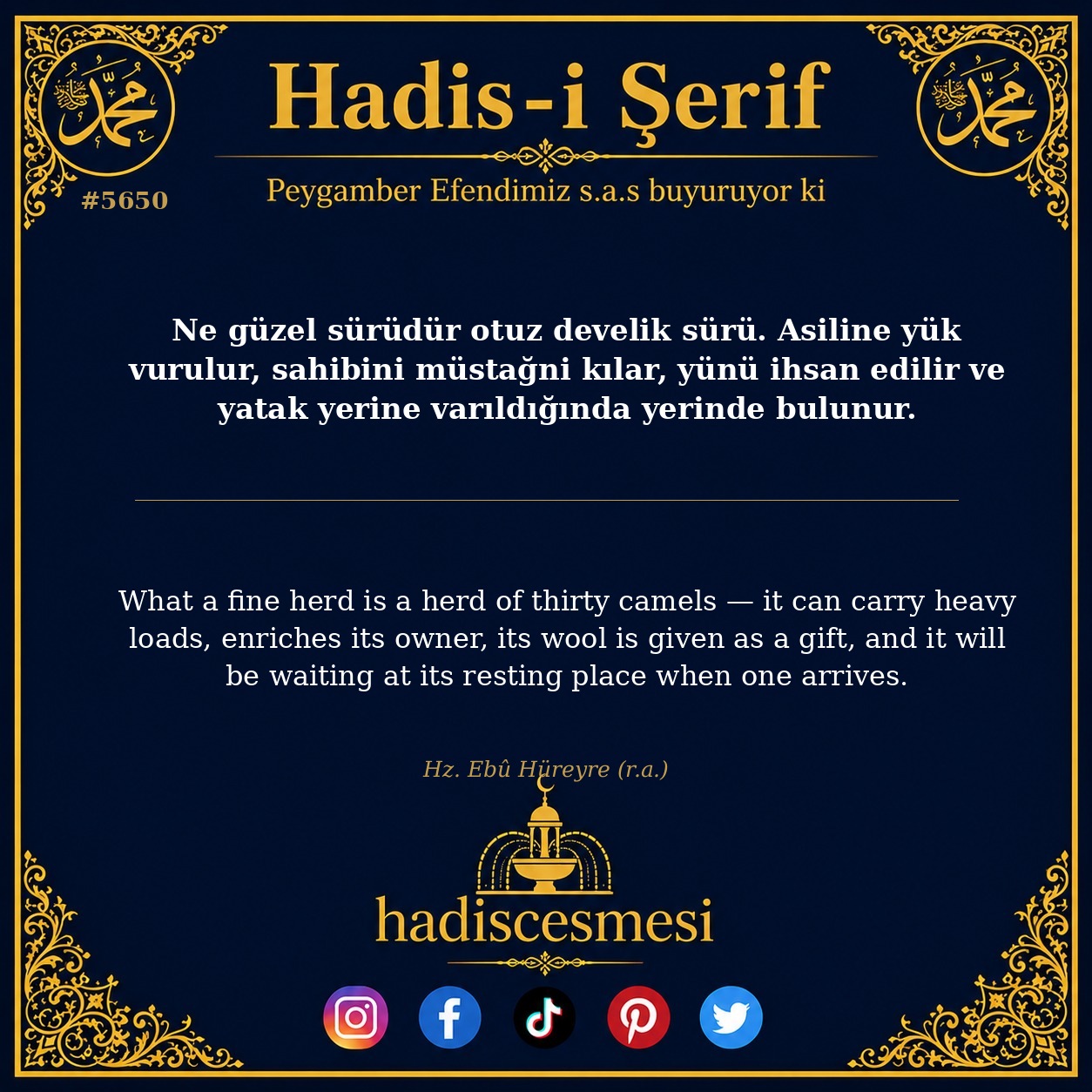hadis 5650