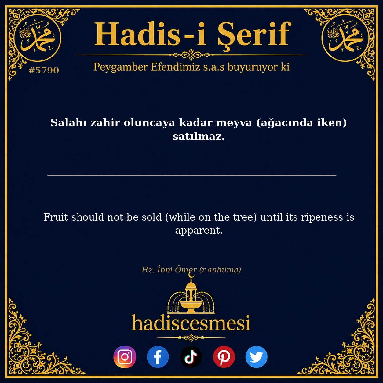 hadis 5790
