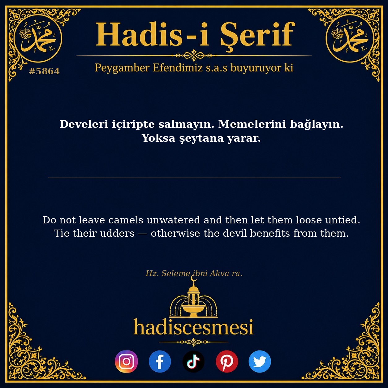 hadis 5864