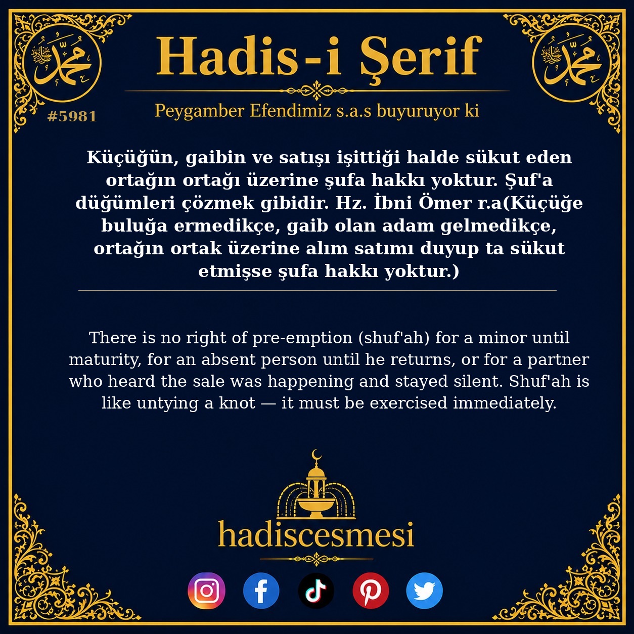 hadis 5981