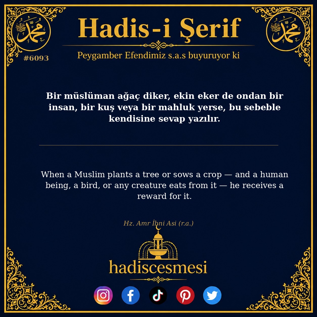 hadis 6093