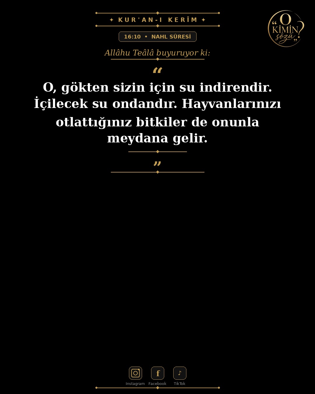 ayet 016 010