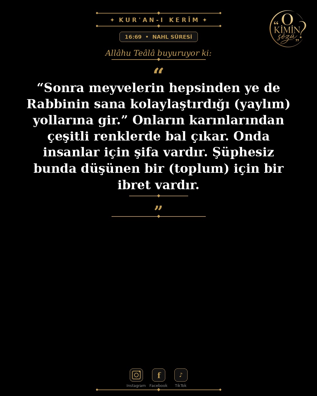 ayet 016 069