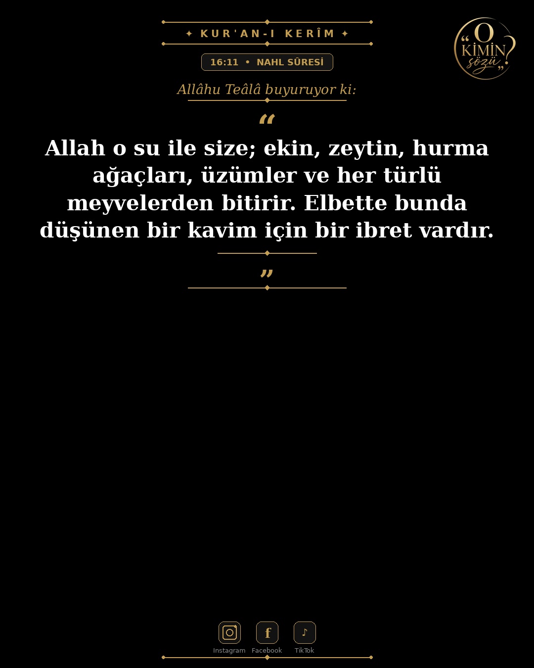 ayet 016 011