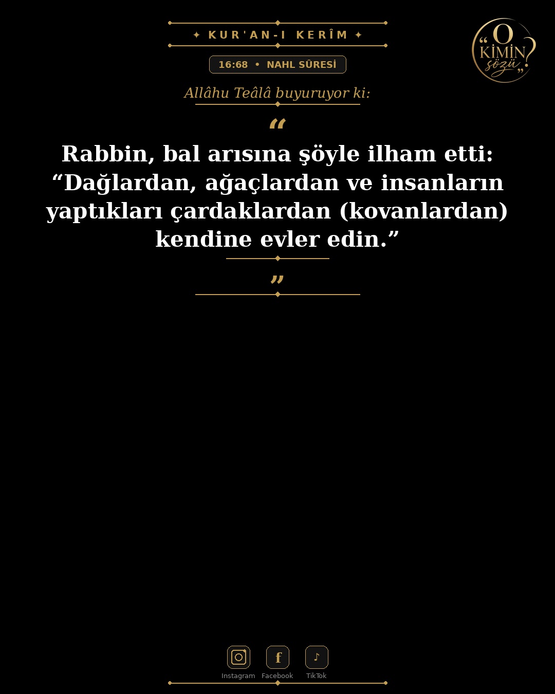 ayet 016 068
