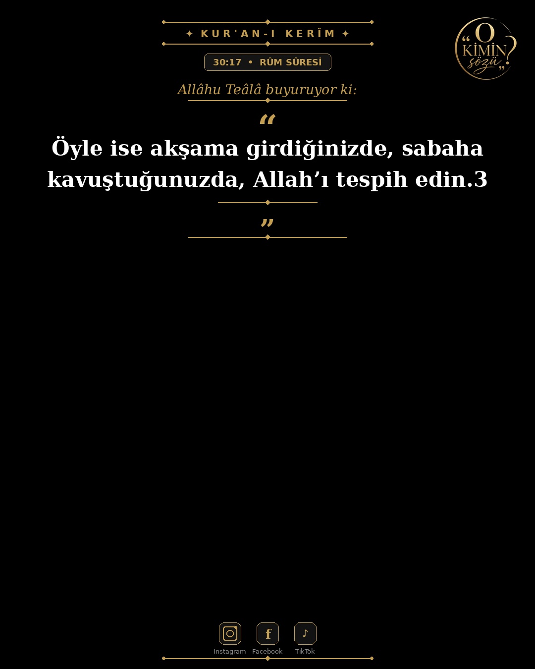 ayet 030 017