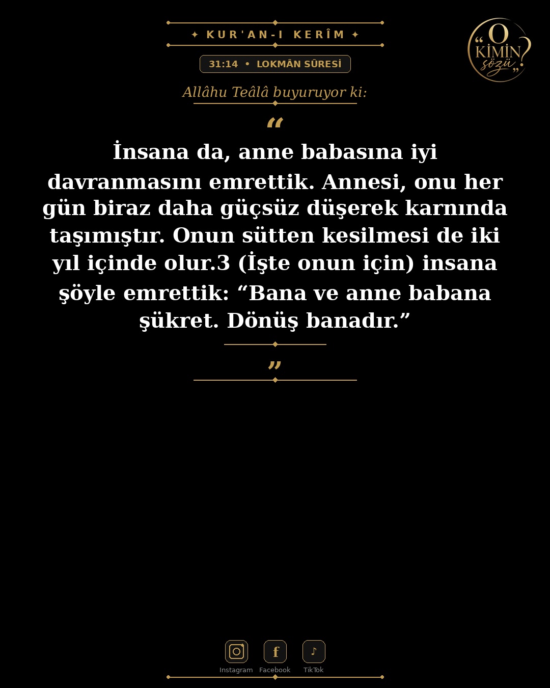 ayet 031 014