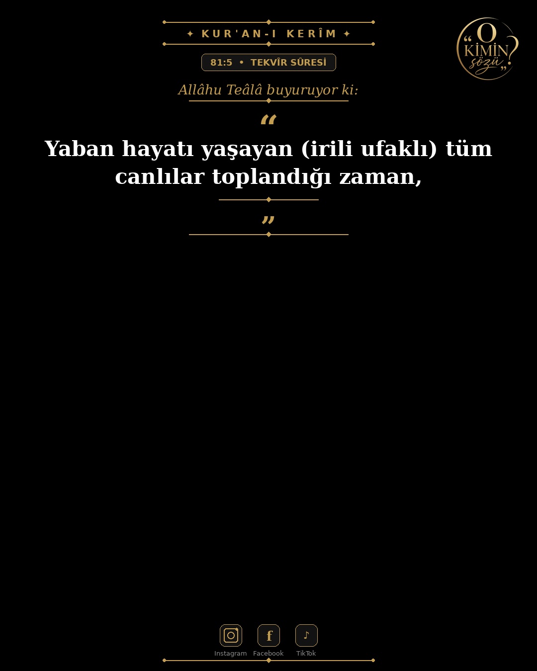 ayet 081 005