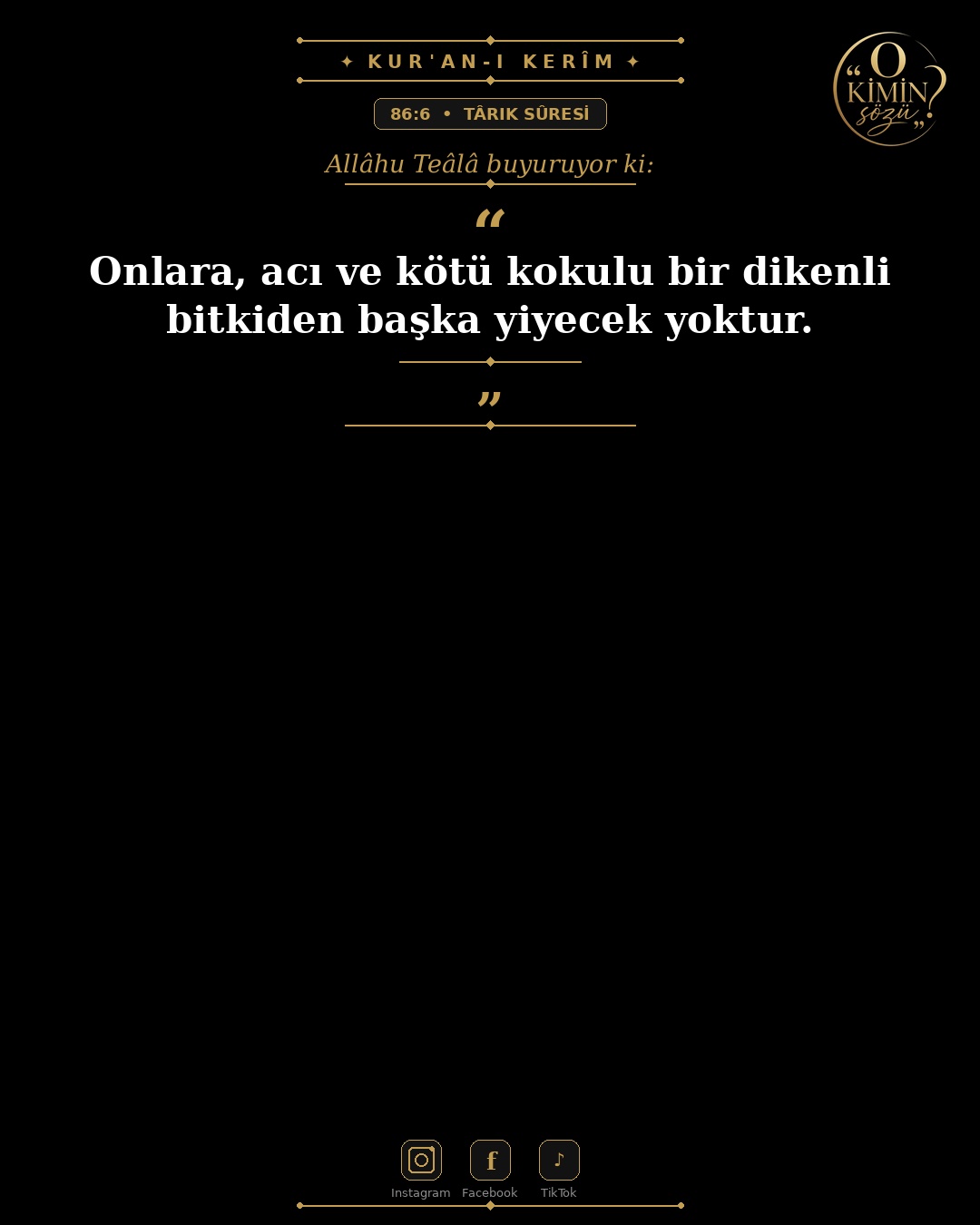 ayet 086 006