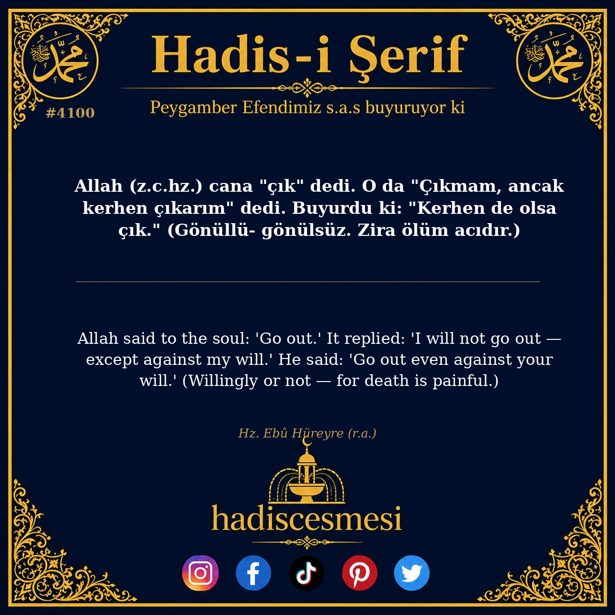 Hadis 4100