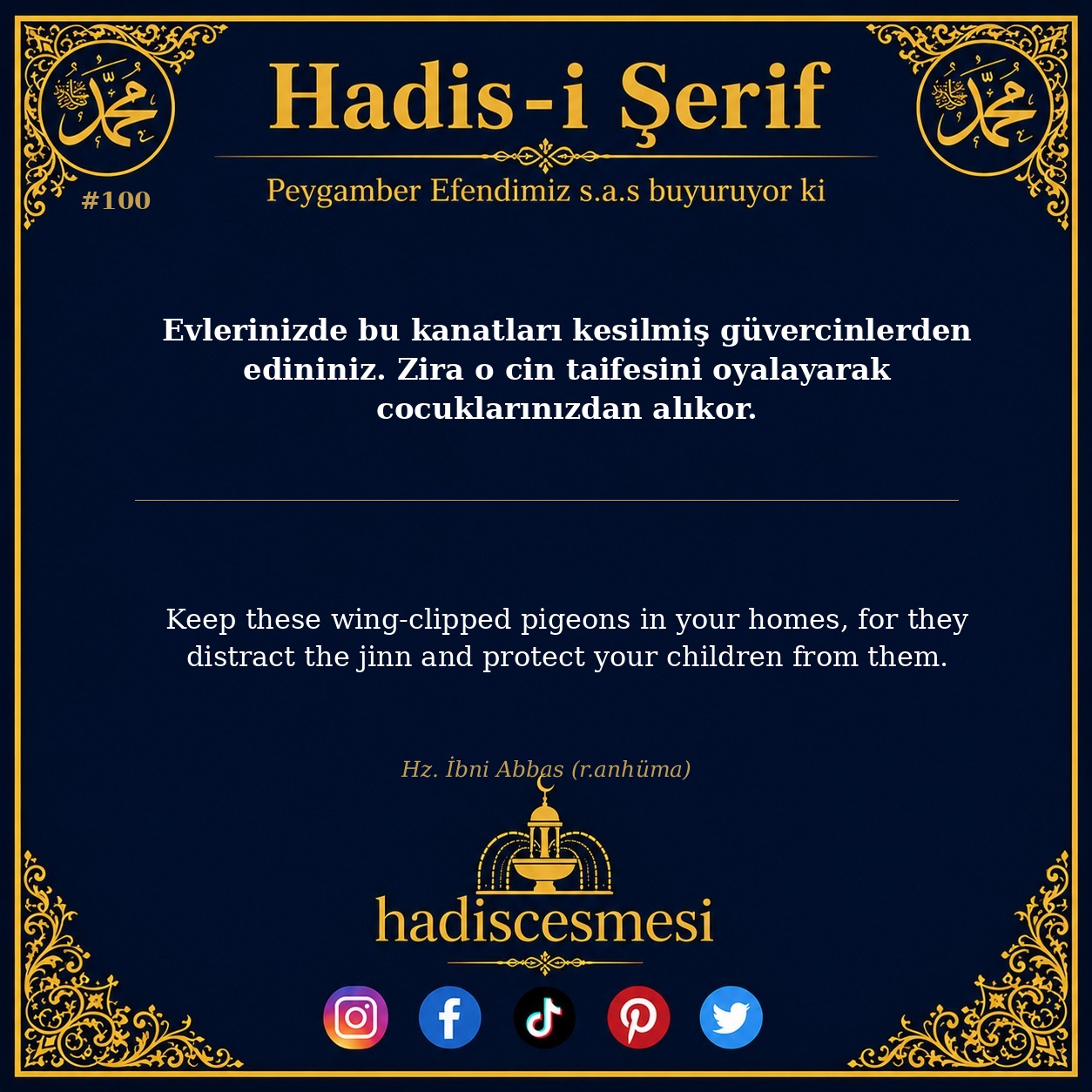 Hadis 0100