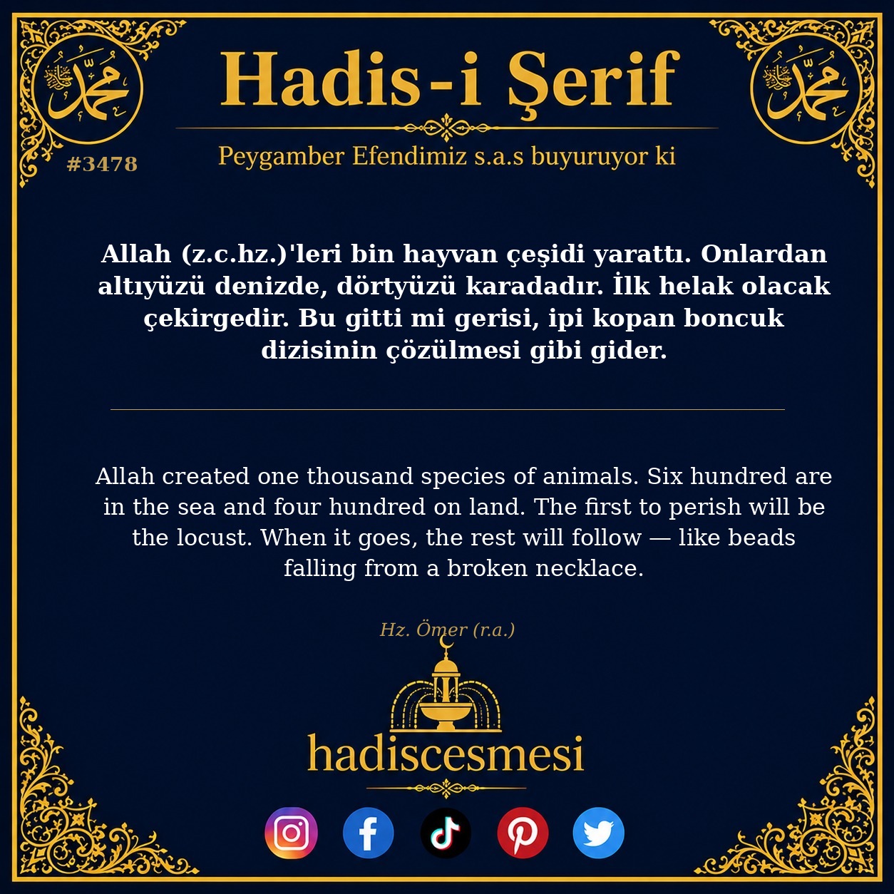 Hadis 3478