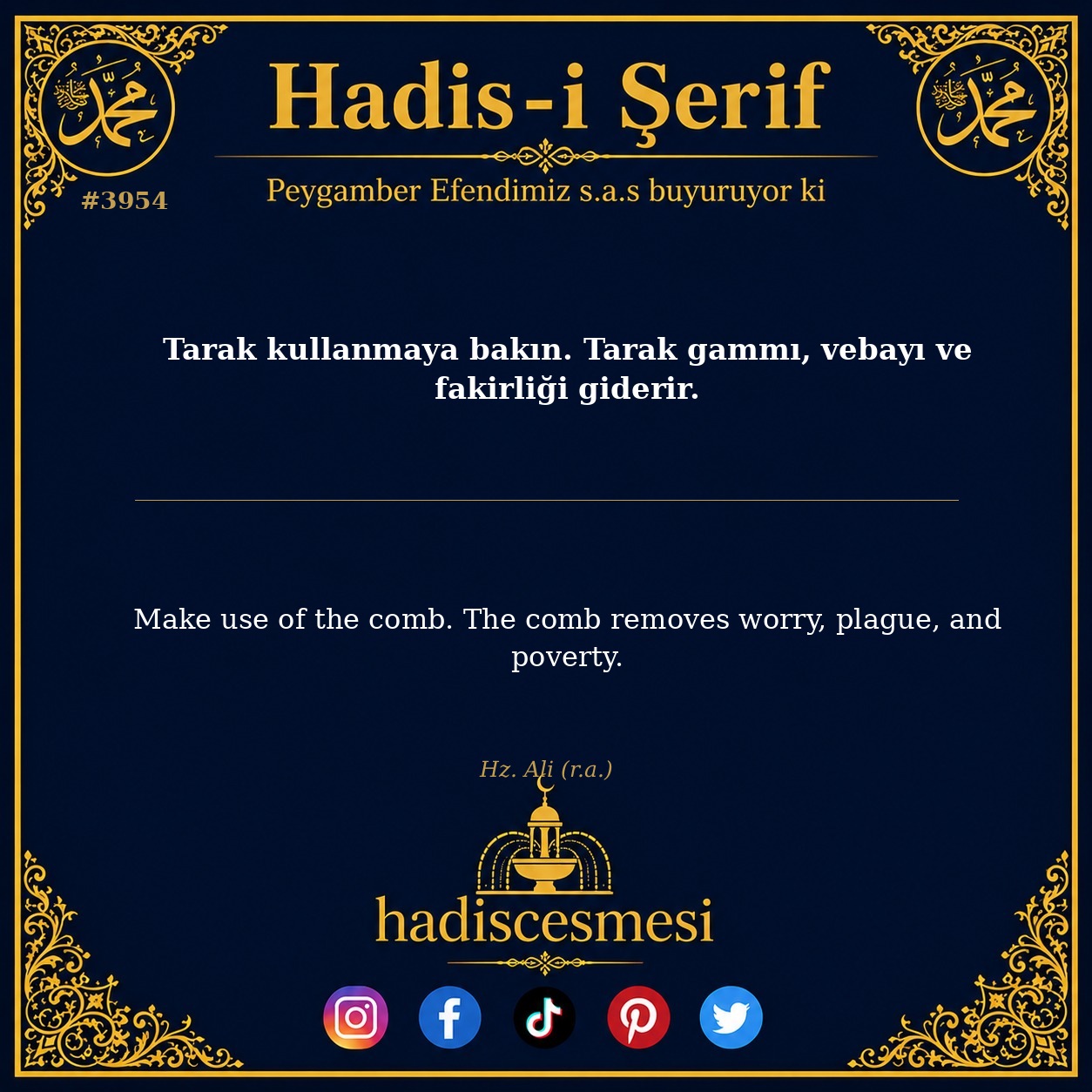 Hadis 3954