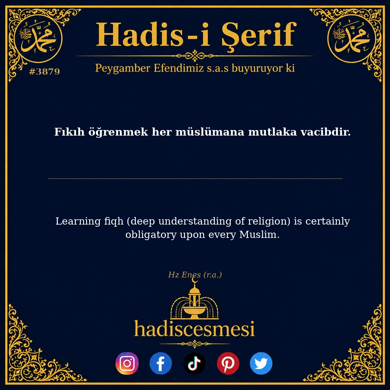 Hadis 3879