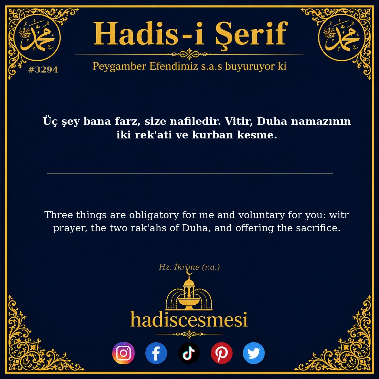 Hadis 3294
