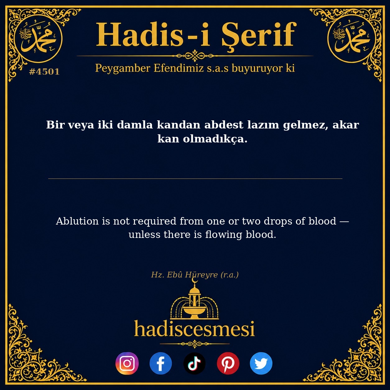 Hadis 4501