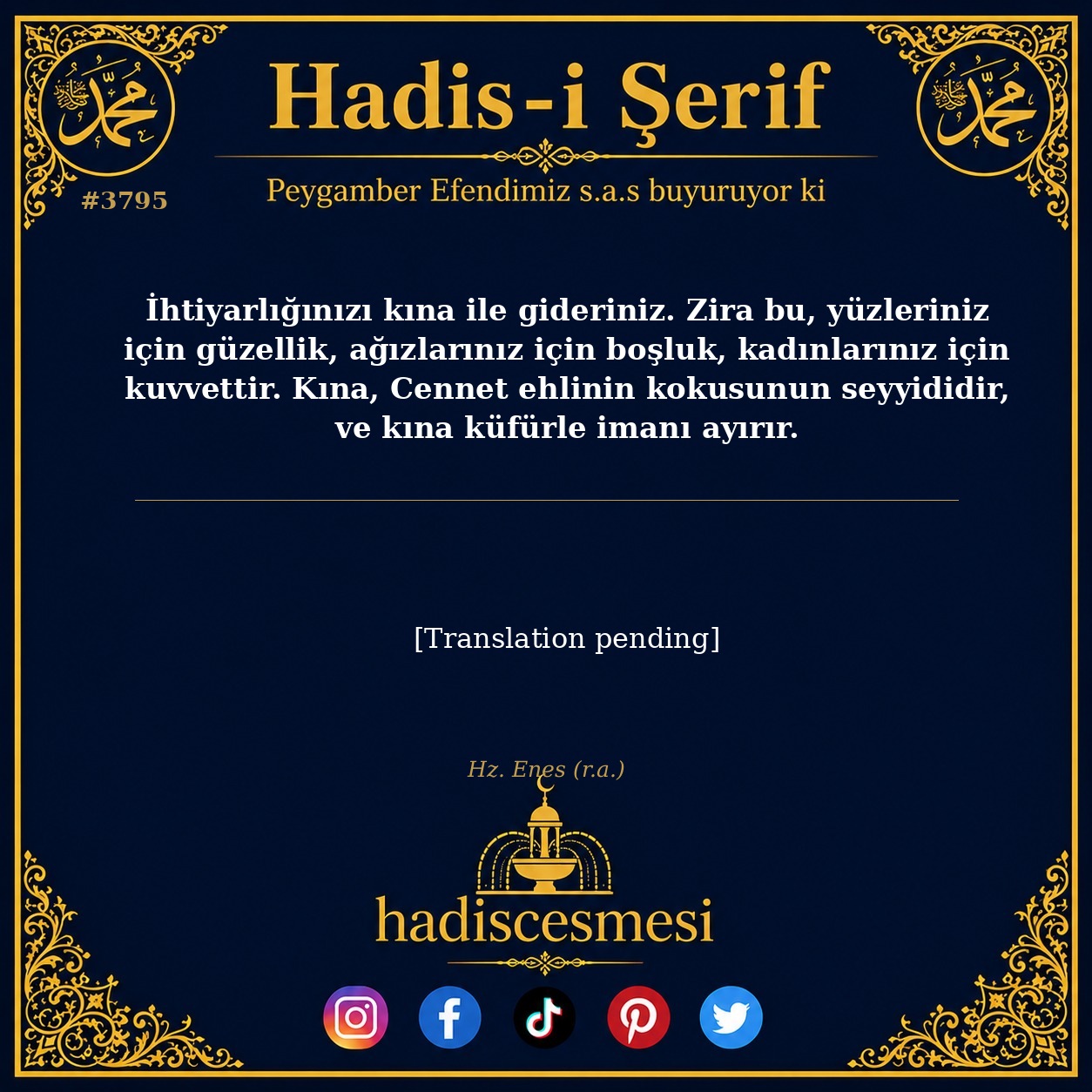 Hadis 3795