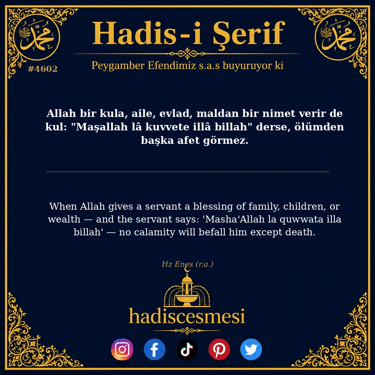 Hadis 4602