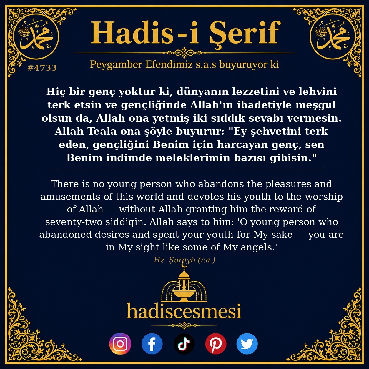 Hadis 4733