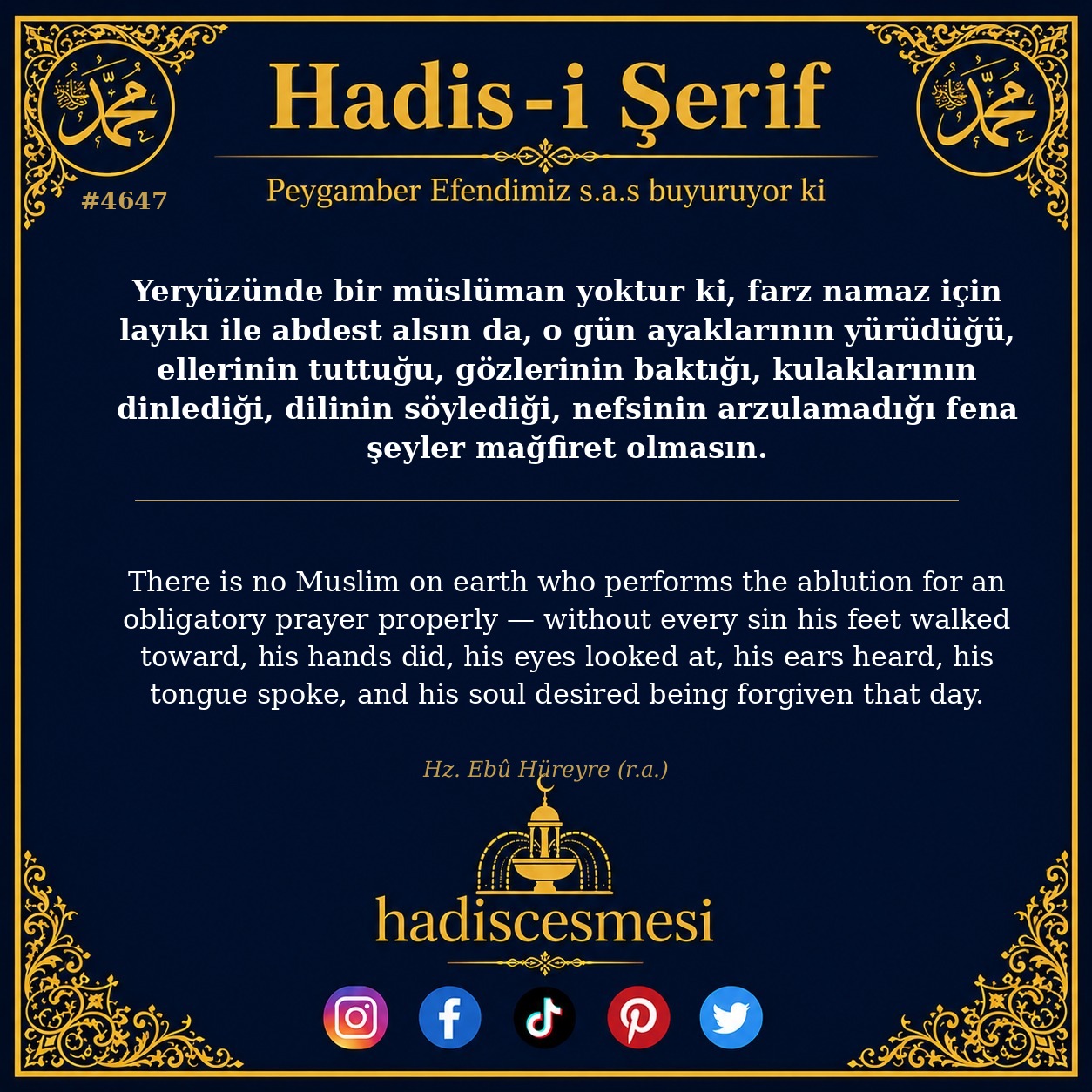 Hadis 4647