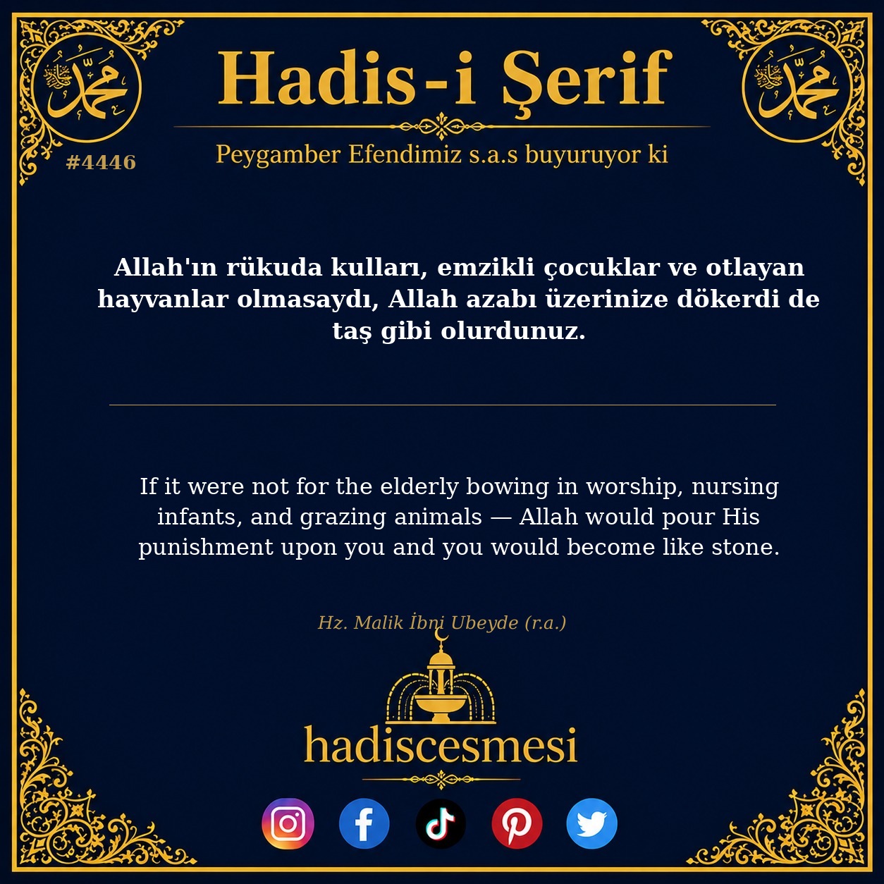 Hadis 4446