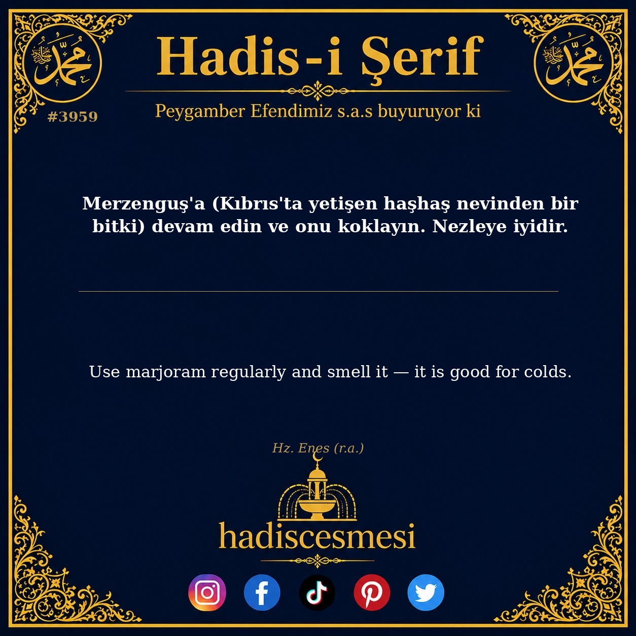 Hadis 3959