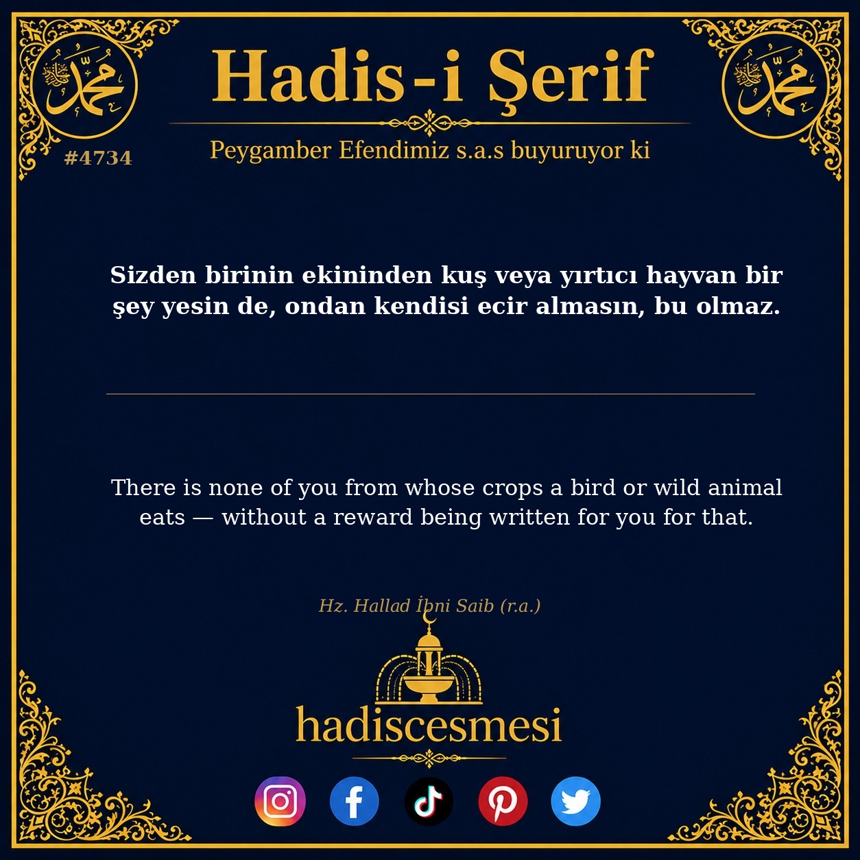 Hadis 4734