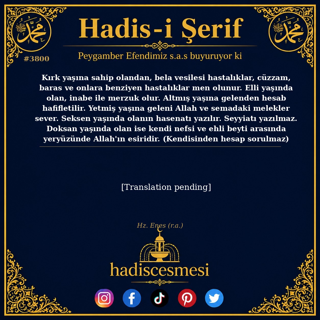 Hadis 3800