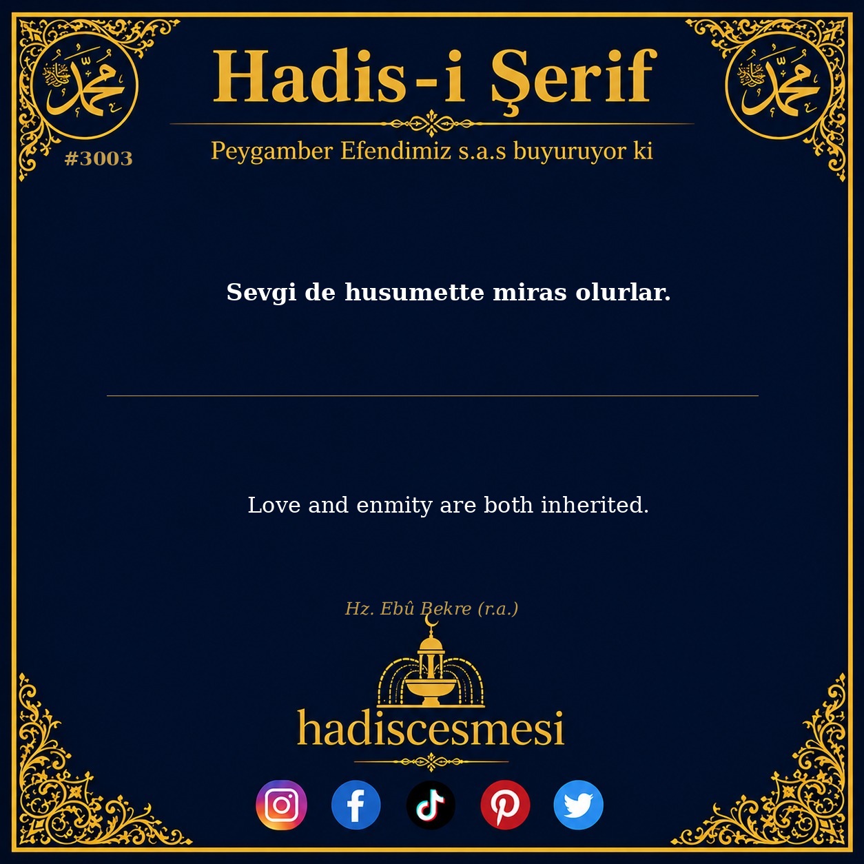 Hadis 3003