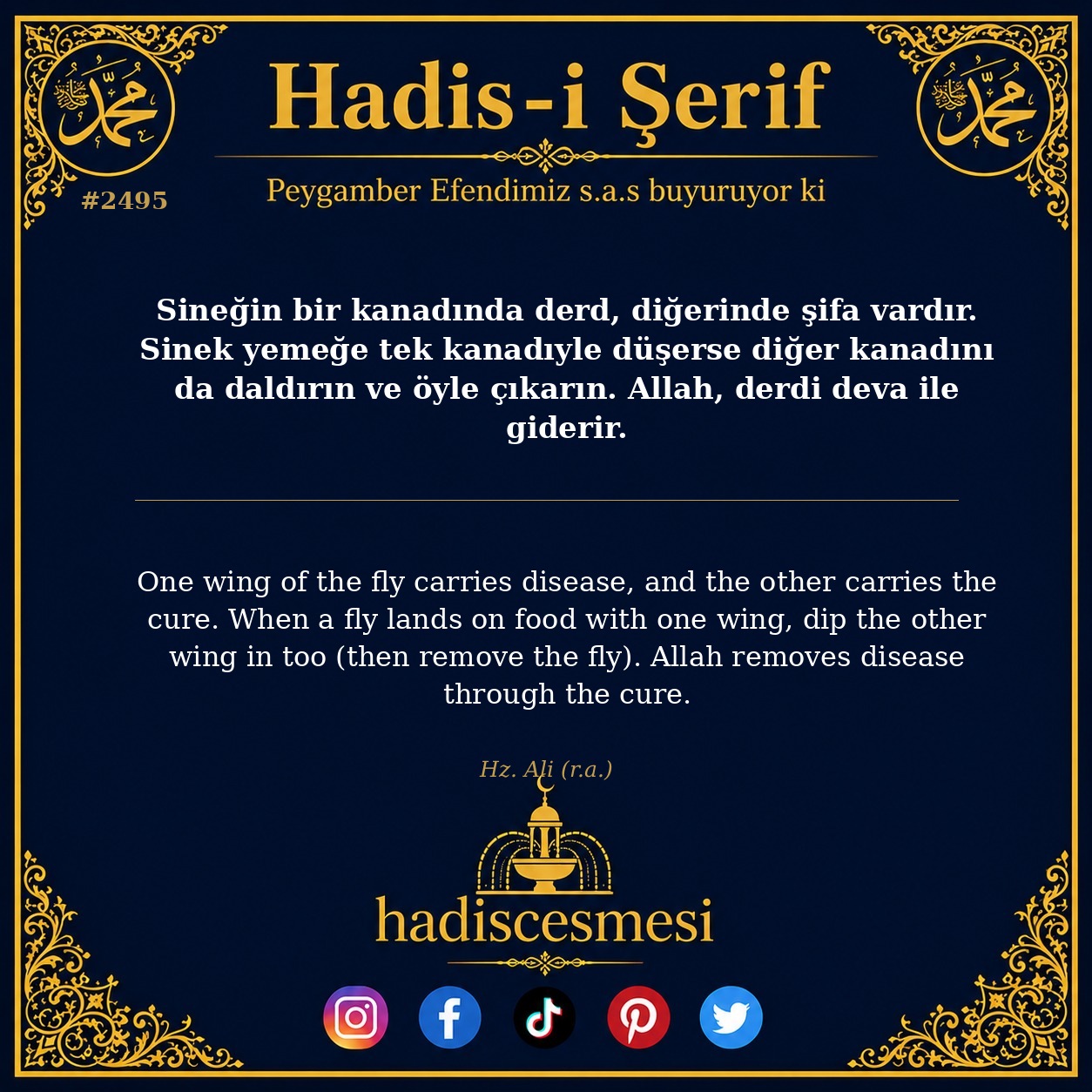 Hadis 2495