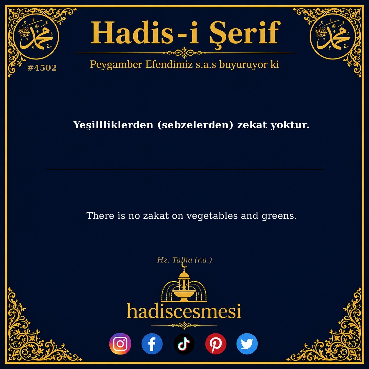 Hadis 4502