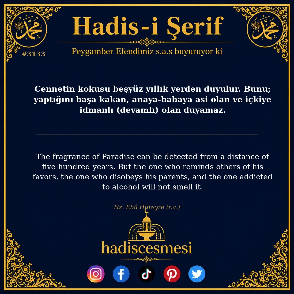 Hadis 3133