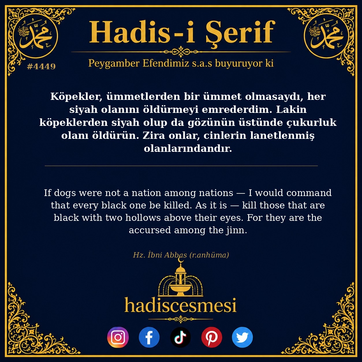 Hadis 4449
