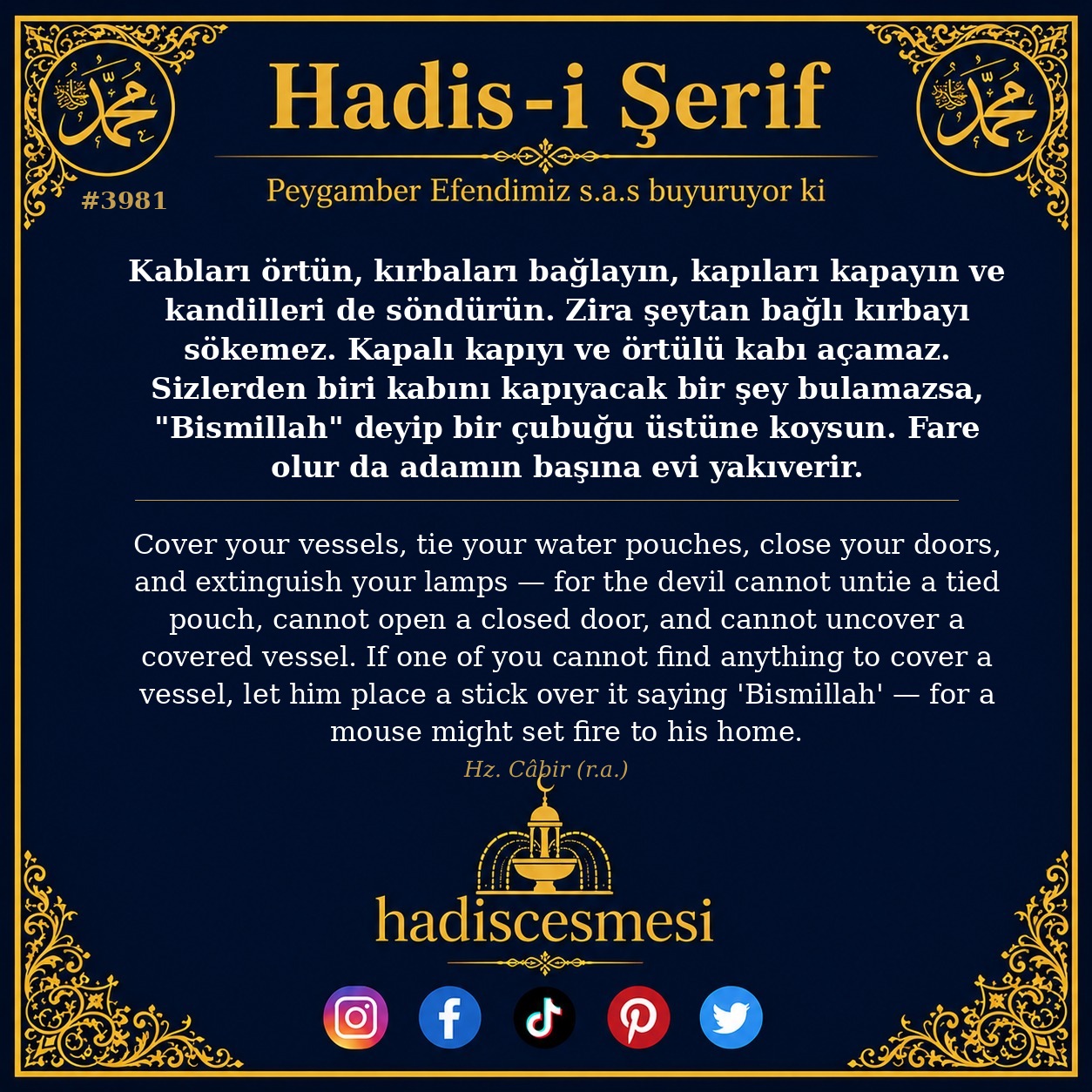 Hadis 3981